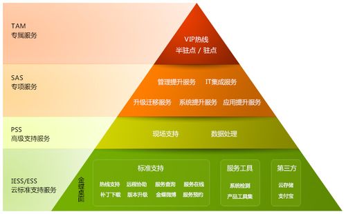 队伍,在中国拥有100家以上营销与服务为主的分支机构和2400余家咨询