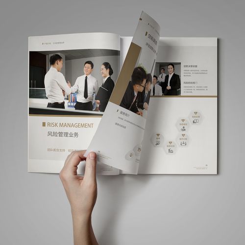 深圳市金融联信息咨询有限公司画册&产品画册